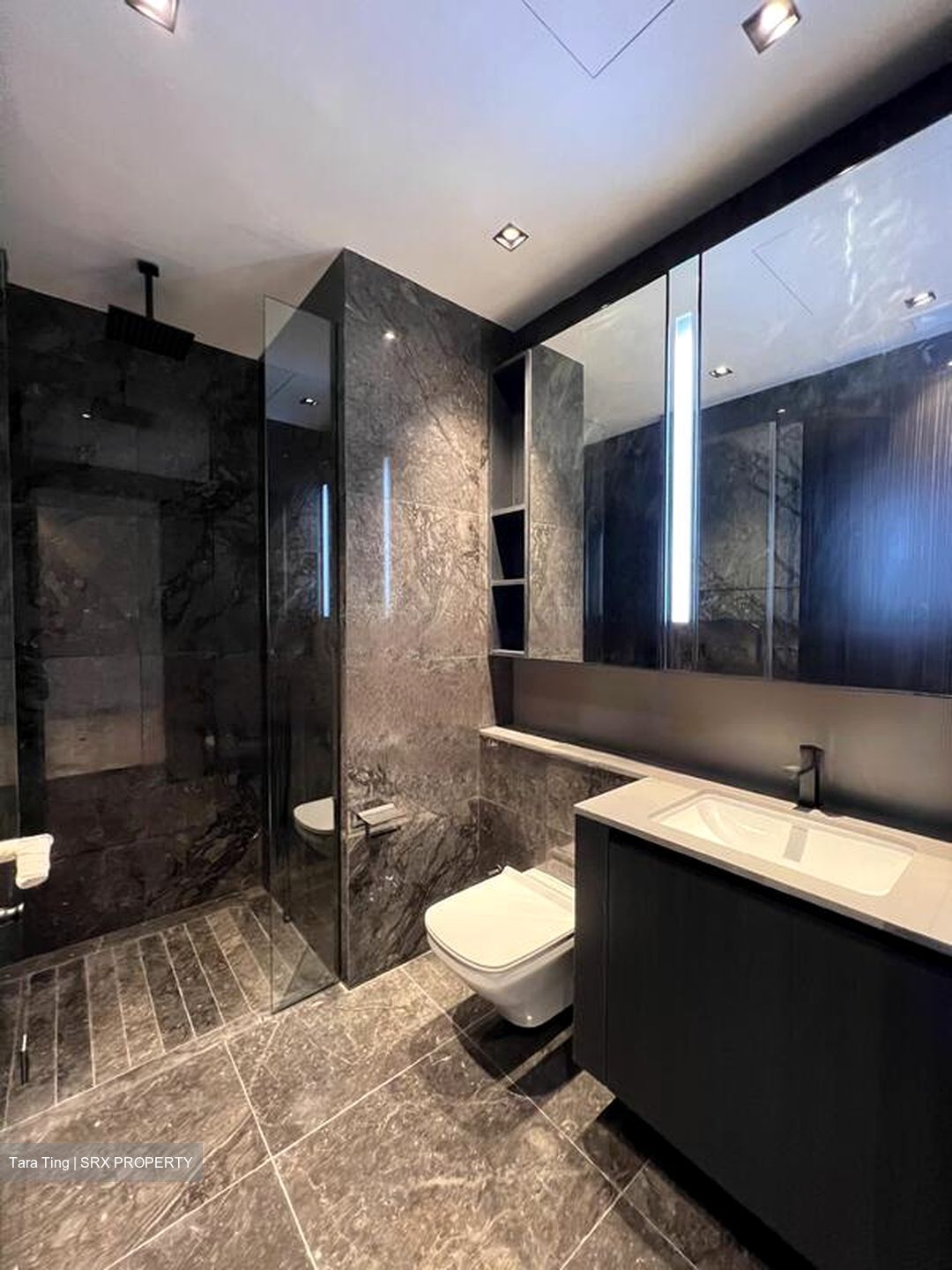 3 Cuscaden (D10), Apartment #462070921